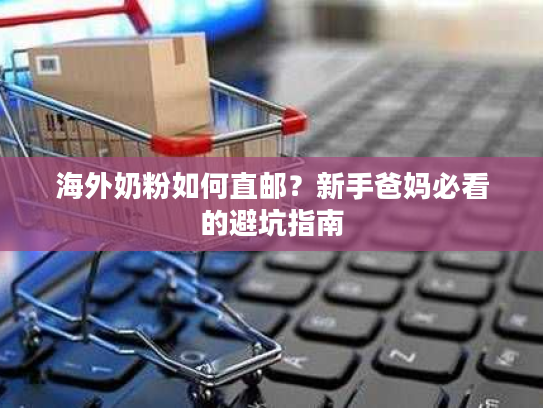 海外奶粉如何直邮？新手爸妈必看的避坑指南