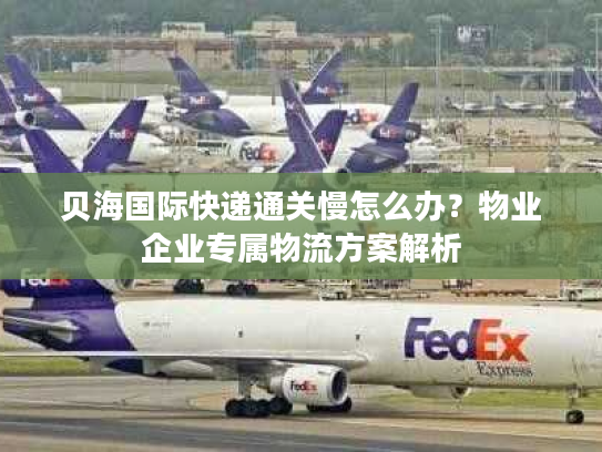 贝海国际快递通关慢怎么办？物业企业专属物流方案解析