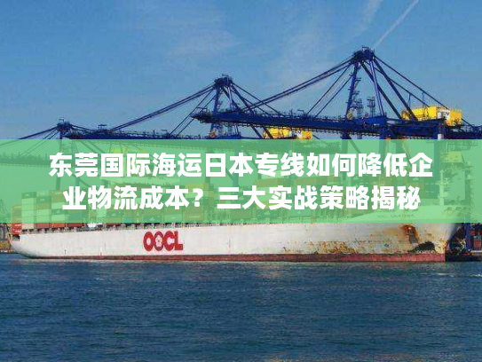 东莞国际海运日本专线如何降低企业物流成本？三大实战策略揭秘