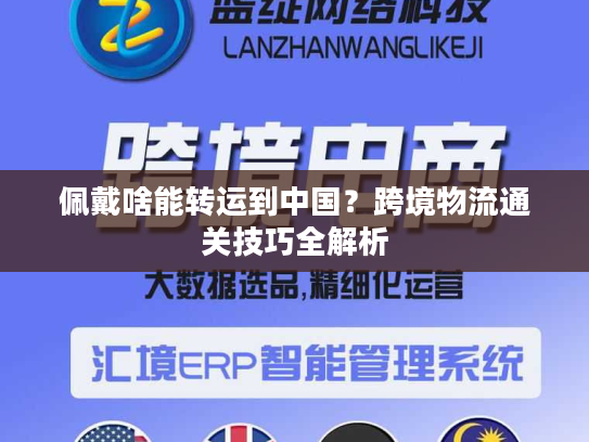 佩戴啥能转运到中国？跨境物流通关技巧全解析