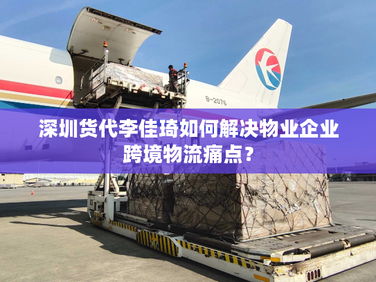 深圳货代李佳琦如何解决物业企业跨境物流痛点？