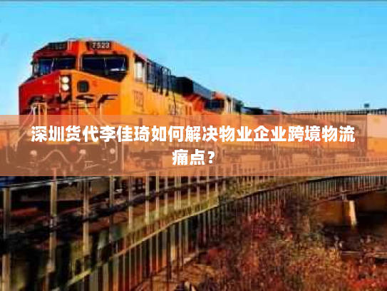 深圳货代李佳琦如何解决物业企业跨境物流痛点？