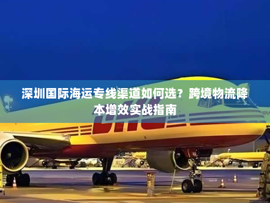 深圳国际海运专线渠道如何选？跨境物流降本增效实战指南