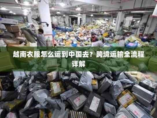 越南衣服怎么运到中国去？跨境运输全流程详解