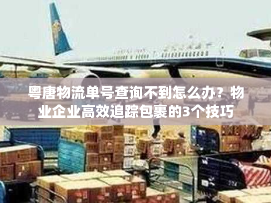 粤唐物流单号查询不到怎么办?物业企业高效追踪包裹的3个技巧 粤唐物流单号查询不到怎么办?物业企业高效追踪包裹的3个技巧