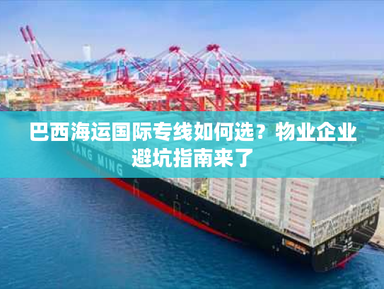 巴西海运国际专线如何选?物业企业避坑指南来了 巴西海运国际专线如何选?物业企业避坑指南来了