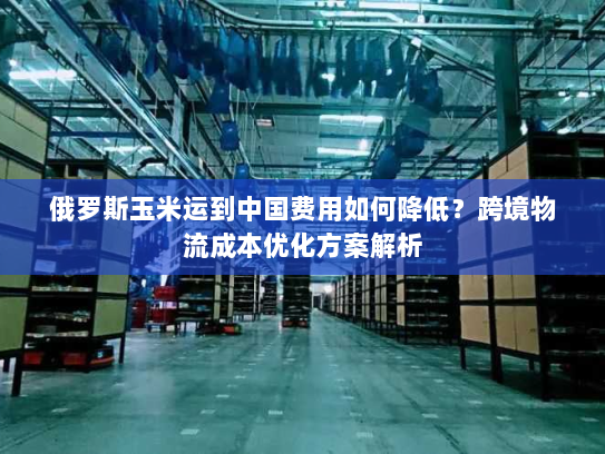 俄罗斯玉米运到中国费用如何降低？跨境物流成本优化方案解析