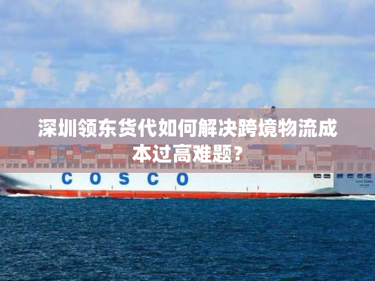 深圳领东货代如何解决跨境物流成本过高难题？