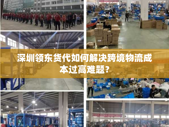 深圳领东货代如何解决跨境物流成本过高难题？