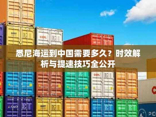 悉尼海运到中国需要多久？时效解析与提速技巧全公开