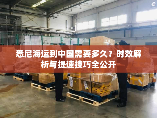 悉尼海运到中国需要多久？时效解析与提速技巧全公开