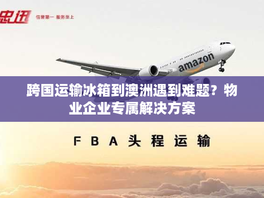 跨国运输冰箱到澳洲遇到难题？物业企业专属解决方案