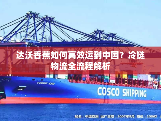 达沃香蕉如何高效运到中国？冷链物流全流程解析