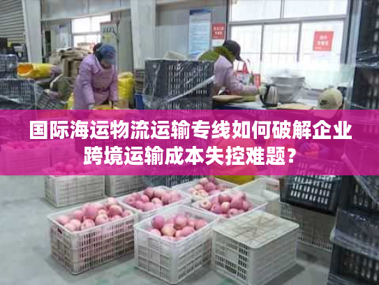 国际海运物流运输专线如何破解企业跨境运输成本失控难题？