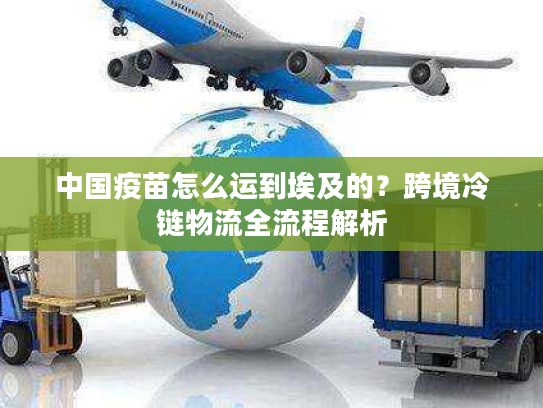 中国疫苗怎么运到埃及的？跨境冷链物流全流程解析