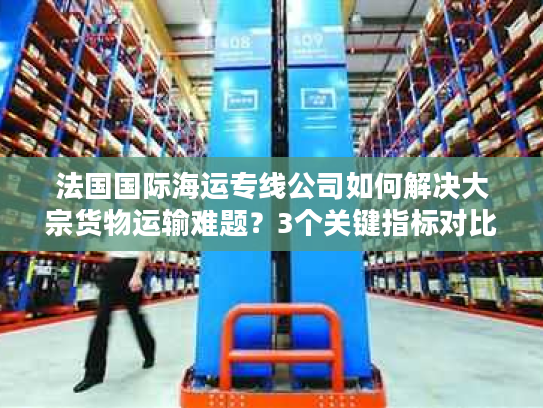 法国国际海运专线公司如何解决大宗货物运输难题？3个关键指标对比