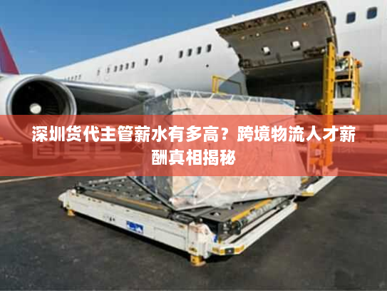 深圳货代主管薪水有多高？跨境物流人才薪酬真相揭秘