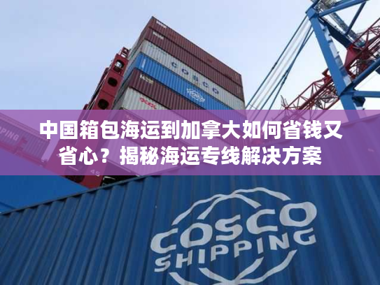 中国箱包海运到加拿大如何省钱又省心？揭秘海运专线解决方案