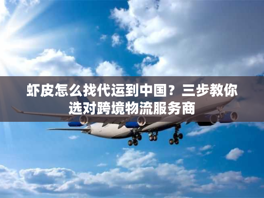 虾皮怎么找代运到中国?三步教你选对跨境物流服务商 虾皮怎么找代运到中国?三步教你选对跨境物流服务商