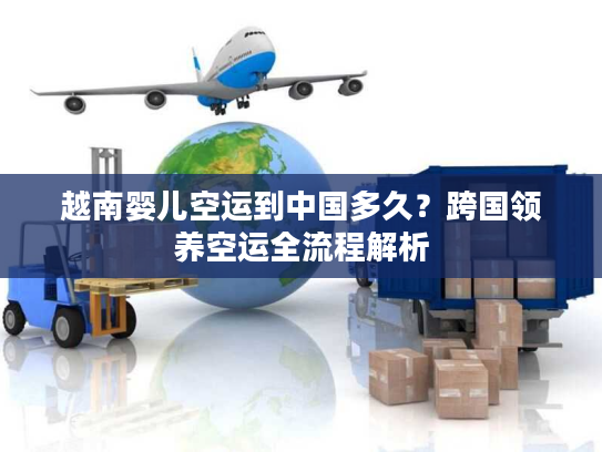 越南婴儿空运到中国多久？跨国领养空运全流程解析