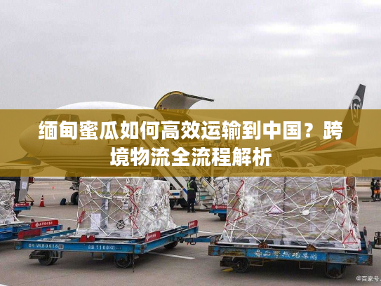 缅甸蜜瓜如何高效运输到中国？跨境物流全流程解析