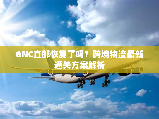 GNC直邮恢复了吗？跨境物流最新通关方案解析