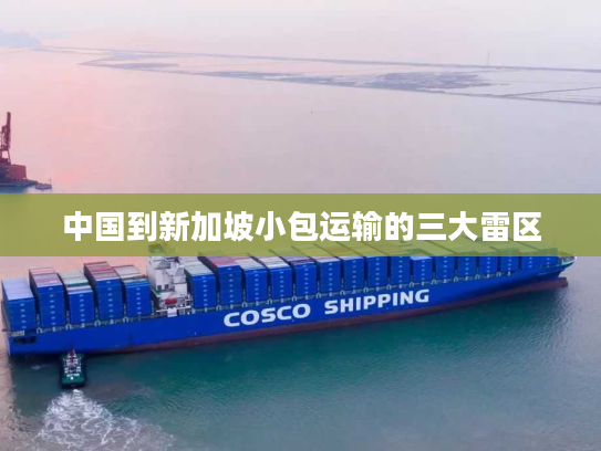 中国到新加坡小包运输的三大雷区