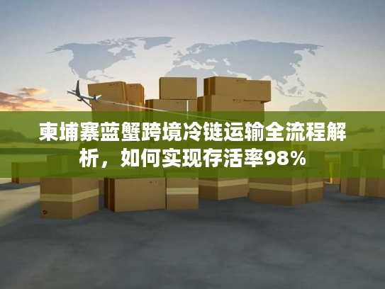 柬埔寨蓝蟹跨境冷链运输全流程解析，如何实现存活率98%