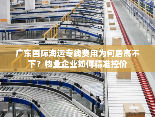广东国际海运专线费用为何居高不下？物业企业如何精准控价