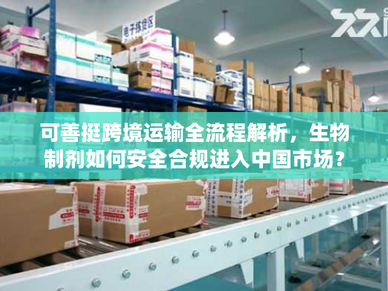 可善挺跨境运输全流程解析，生物制剂如何安全合规进入中国市场？