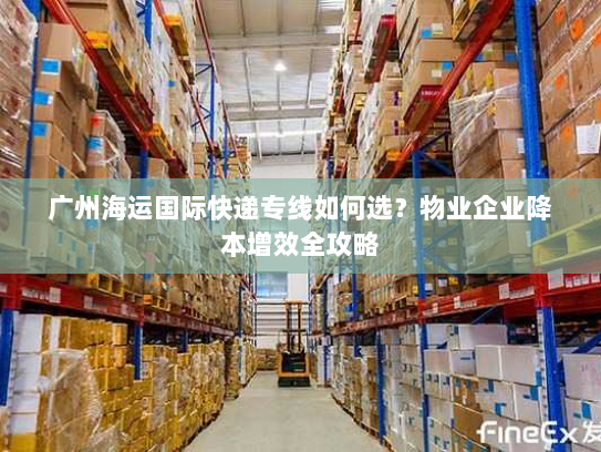 广州海运国际快递专线如何选？物业企业降本增效全攻略