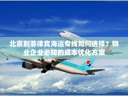 北京到菲律宾海运专线如何选择？物业企业必知的成本优化方案