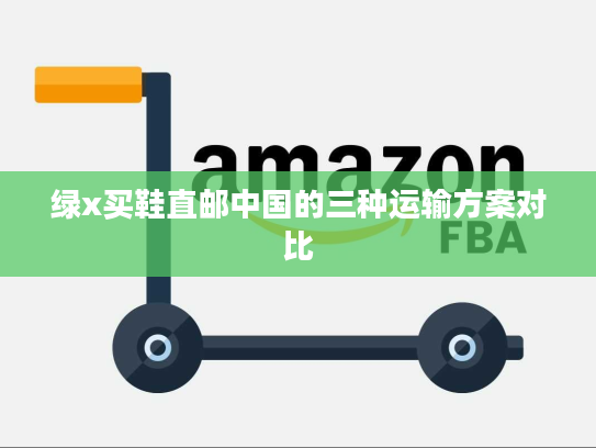 绿x买鞋直邮中国的三种运输方案对比
