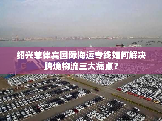 绍兴菲律宾国际海运专线如何解决跨境物流三大痛点？