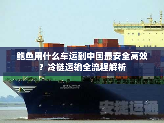 鲍鱼用什么车运到中国最安全高效？冷链运输全流程解析