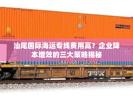 汕尾国际海运专线费用高？企业降本增效的三大策略揭秘