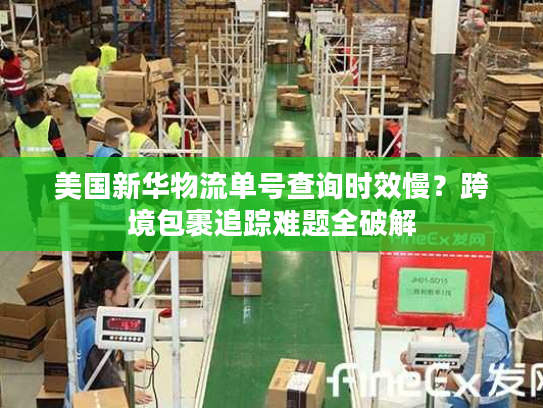 美国新华物流单号查询时效慢？跨境包裹追踪难题全破解