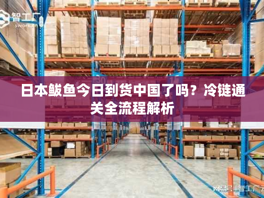 日本鲅鱼今日到货中国了吗？冷链通关全流程解析