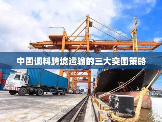 中国调料跨境运输的三大突围策略