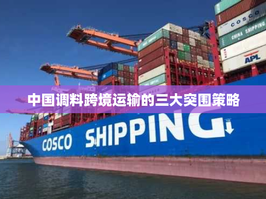 中国调料跨境运输的三大突围策略