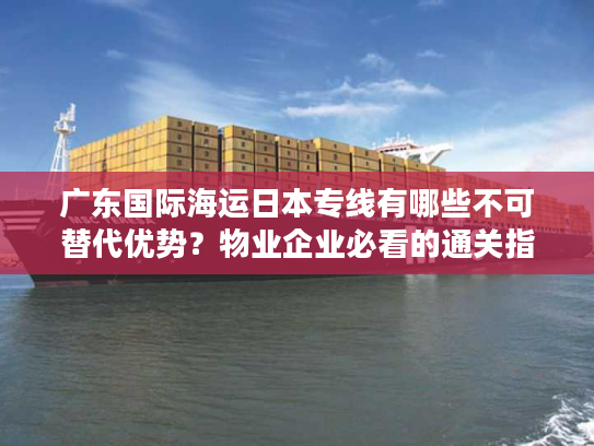 广东国际海运日本专线有哪些不可替代优势？物业企业必看的通关指南