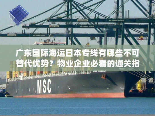 广东国际海运日本专线有哪些不可替代优势？物业企业必看的通关指南