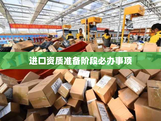 进口资质准备阶段必办事项 进口资质准备阶段必办事项