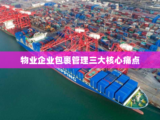 物业企业包裹管理三大核心痛点