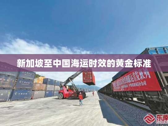 新加坡至中国海运时效的黄金标准 新加坡至中国海运时效的黄金标准