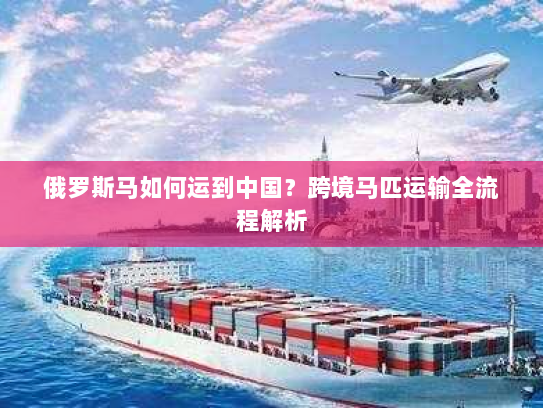 俄罗斯马如何运到中国？跨境马匹运输全流程解析