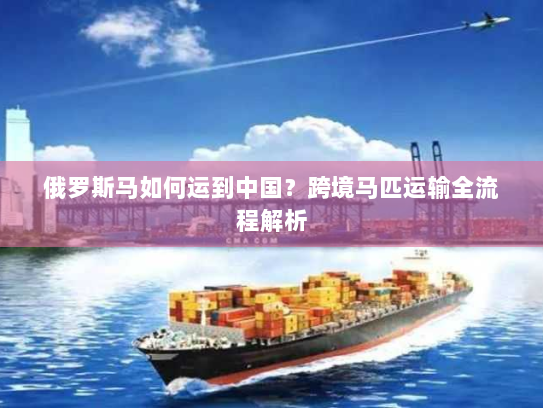 俄罗斯马如何运到中国？跨境马匹运输全流程解析