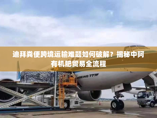 迪拜粪便跨境运输难题如何破解？揭秘中阿有机肥贸易全流程