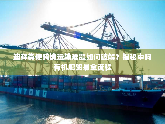 迪拜粪便跨境运输难题如何破解？揭秘中阿有机肥贸易全流程