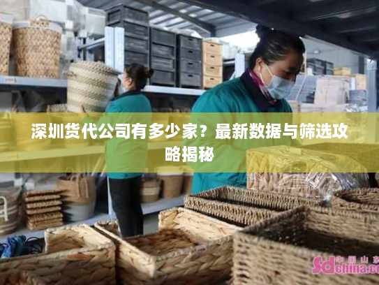 深圳货代公司有多少家？最新数据与筛选攻略揭秘